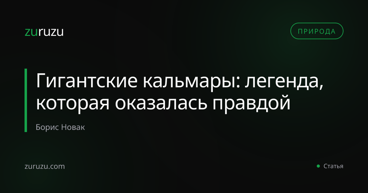Гигантские кальмары: легенда, которая оказалась правдой