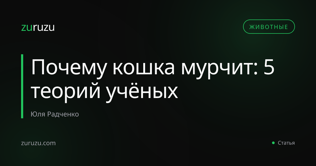 Почему кошка мурчит: 5 теорий учёных