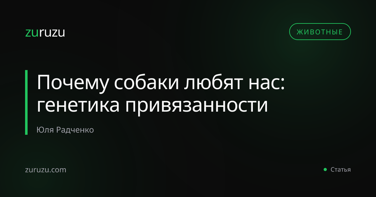 Почему собаки любят нас: генетика привязанности