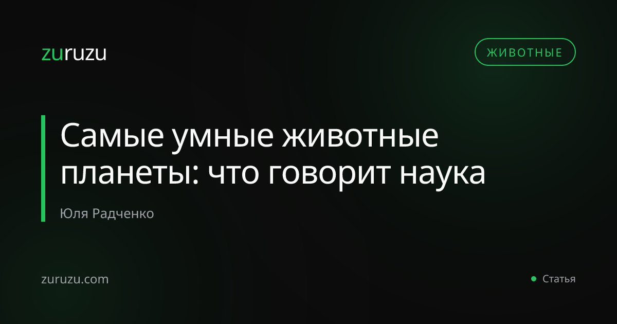 Самые умные животные планеты: что говорит наука